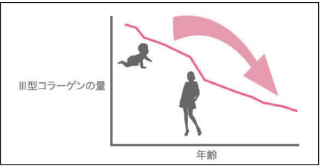 Ⅲ型コラーゲンの減少グラフ ブースターオイル ブースター 化粧水
